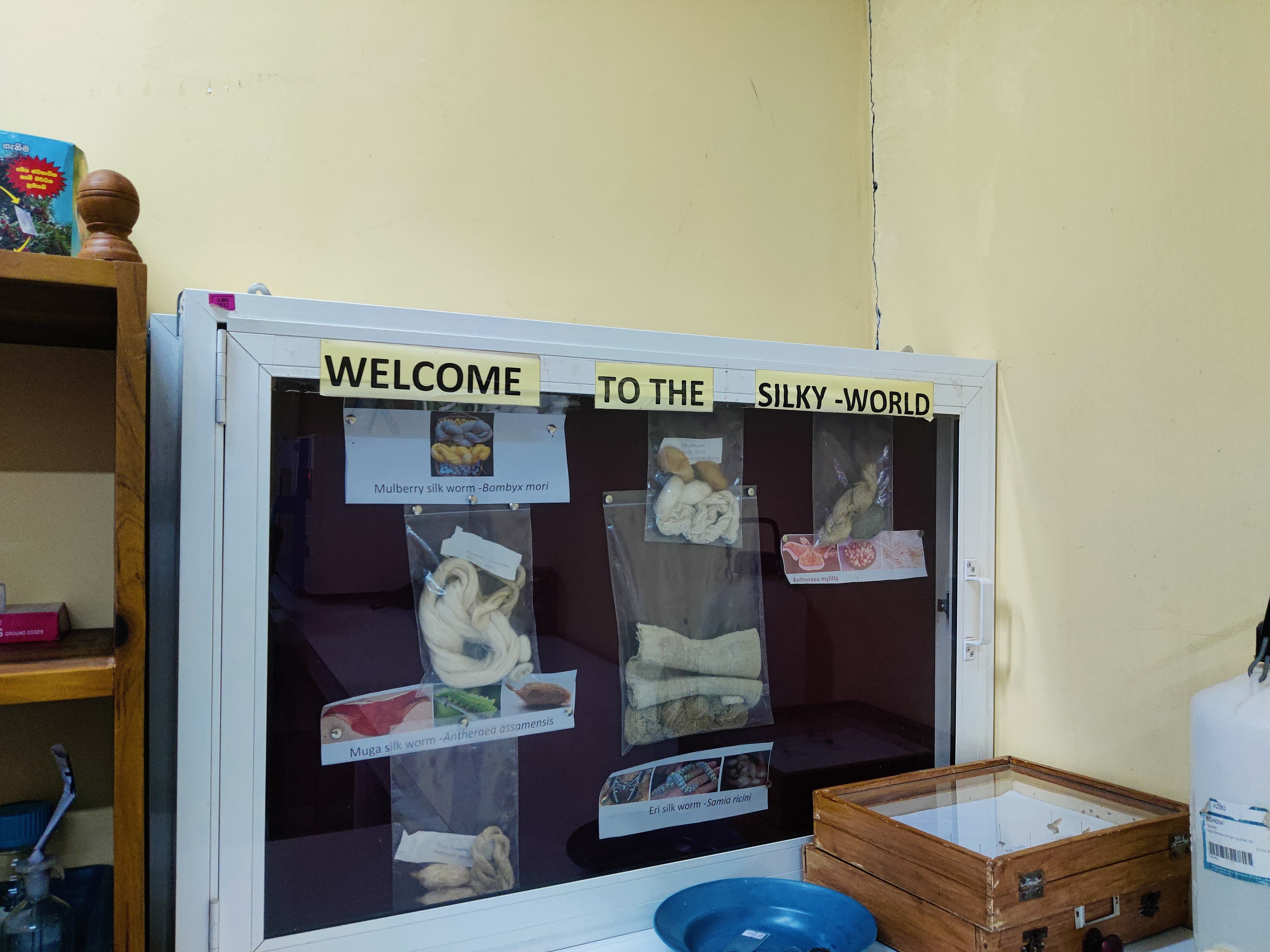 Insect Diagnostic Room